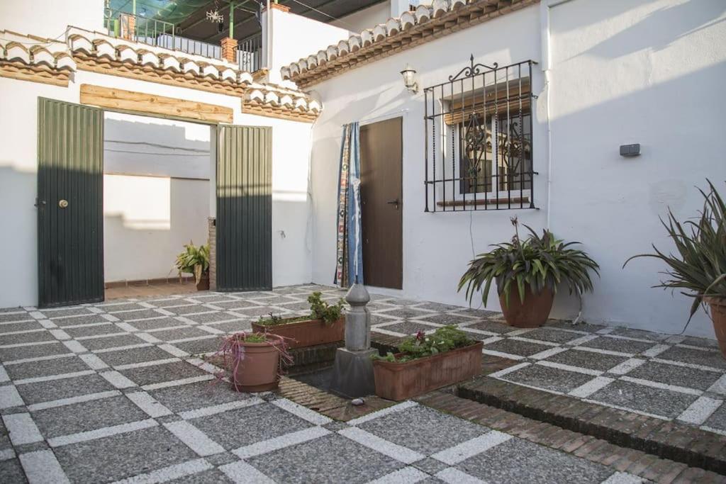 Lolas Cozy Studio Γρανάδα Εξωτερικό φωτογραφία