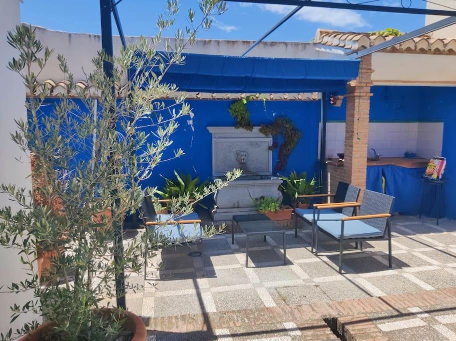 Lolas Cozy Studio Γρανάδα Εξωτερικό φωτογραφία